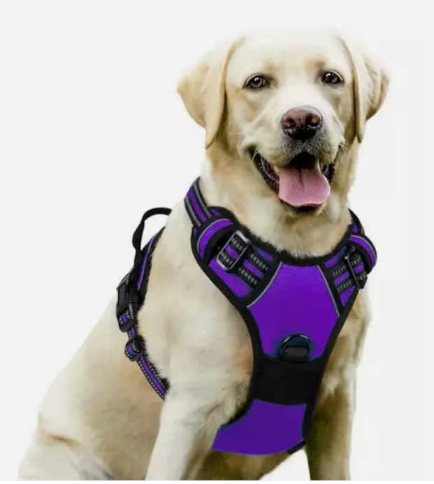 Dog Harness No Pull Truelove Adjustable Reflective Padded Vest XS-L