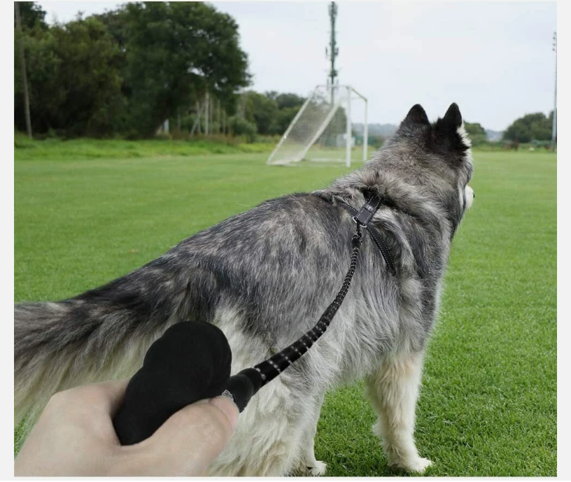 Extra Strong Reflective Rope Dog Lead with Foam Padded Handle Leash 5ft 150cm